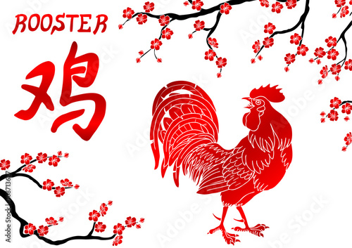 Fervent red rooster and oriental cherry branch