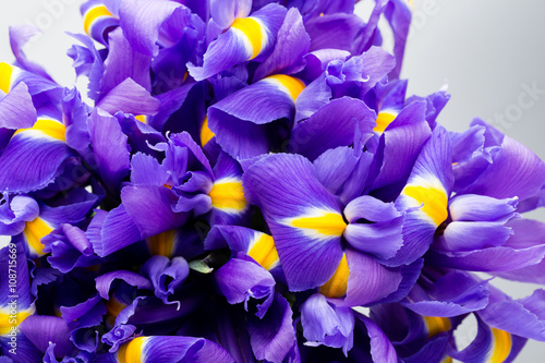 Fototapeta Naklejka Na Ścianę i Meble -  Iris flowers background, spring floral patern.