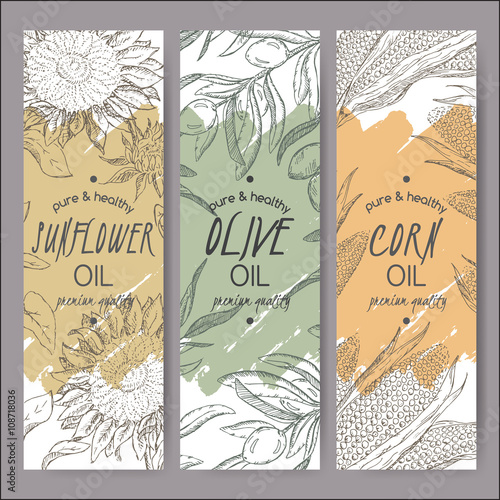 Three vector sunflower, olive, corn oil label templates. 