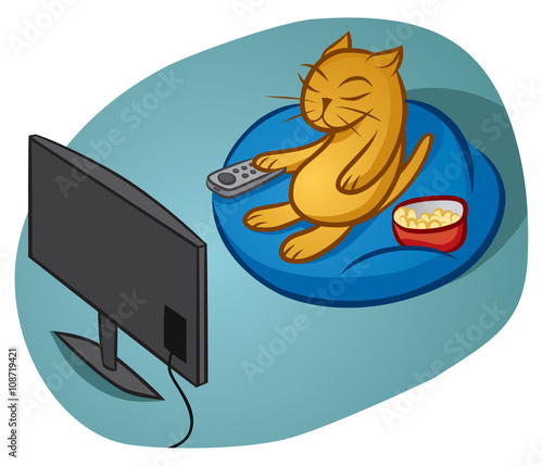 Indoor Cat