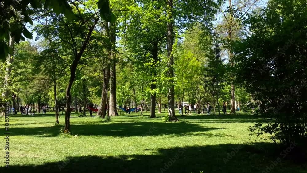 People with hammocks in the Central Park of Cluj Napoca, Romania People with hammocks in the Central Park of Cluj Napoca, Romania