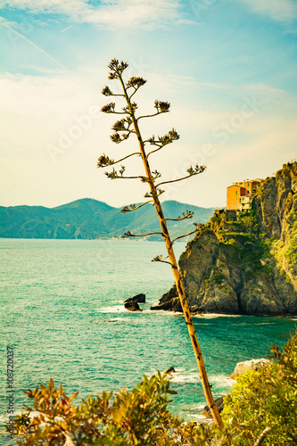 Manarola photo