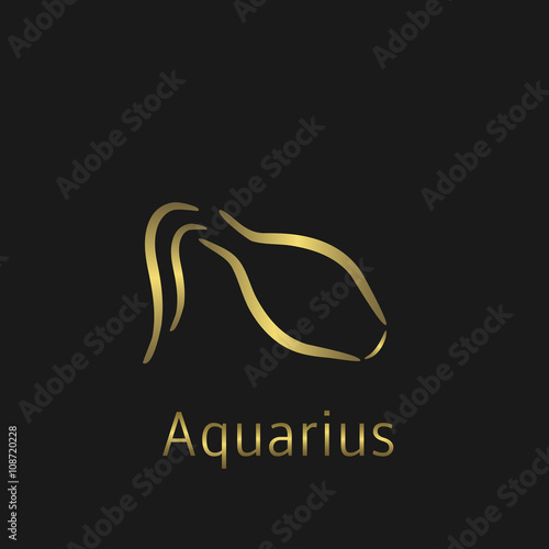 Aquarius Zodiac sign
