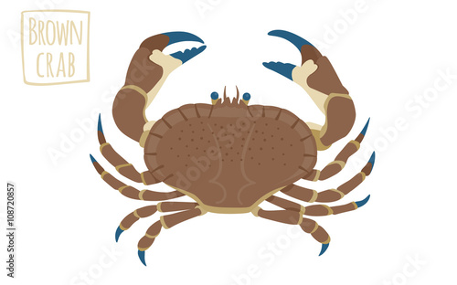 Brown crab, vector cartoon illustration