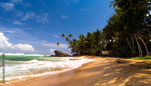 Beautiful  tropical beach with palm trees, rock and cabin photo