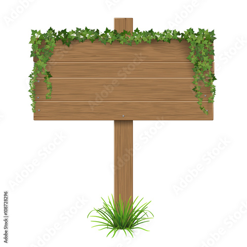 Wooden signpost covered of ivy sticks out of the grass. The template with blank space for text.