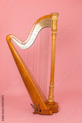 Canvas Print beautiful golden harp