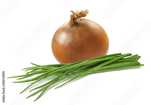 Yellow onion green scallion garlic isolated as package design element