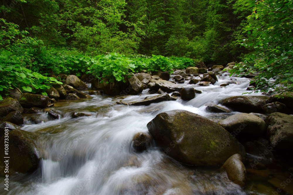 Mountain river in the green forest Mountain river in the green forest