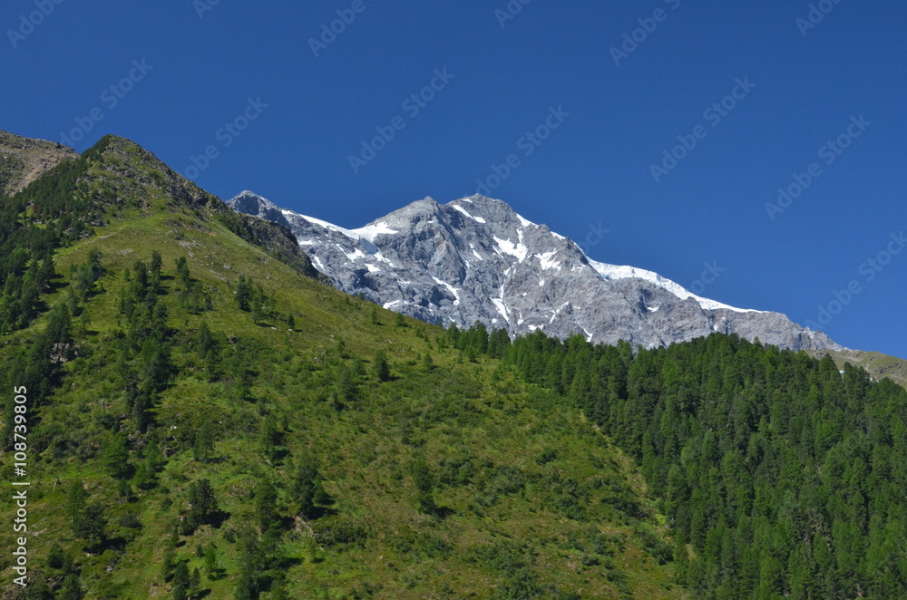 Val Venosta, Vinschgau, South Tyrol, Italy
