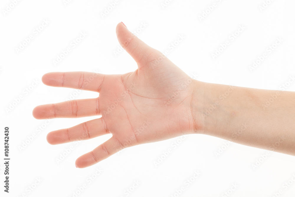 Woman hand. Isolated on white.