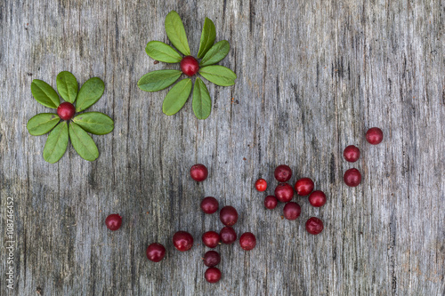 Fresh ripe cranberries with leaves lying on the old vintage wooden table in a shape of chamomile flower. Background for nature themes. Horizontal overhead view.