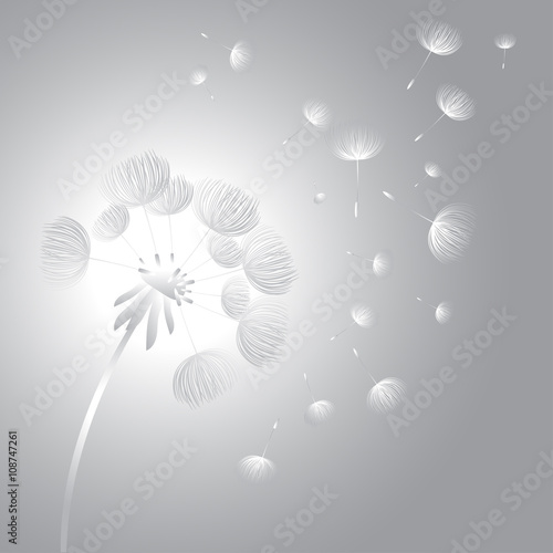 Fototapeta Naklejka Na Ścianę i Meble -  Abstract fluffy dandelion flower. Vector illustration