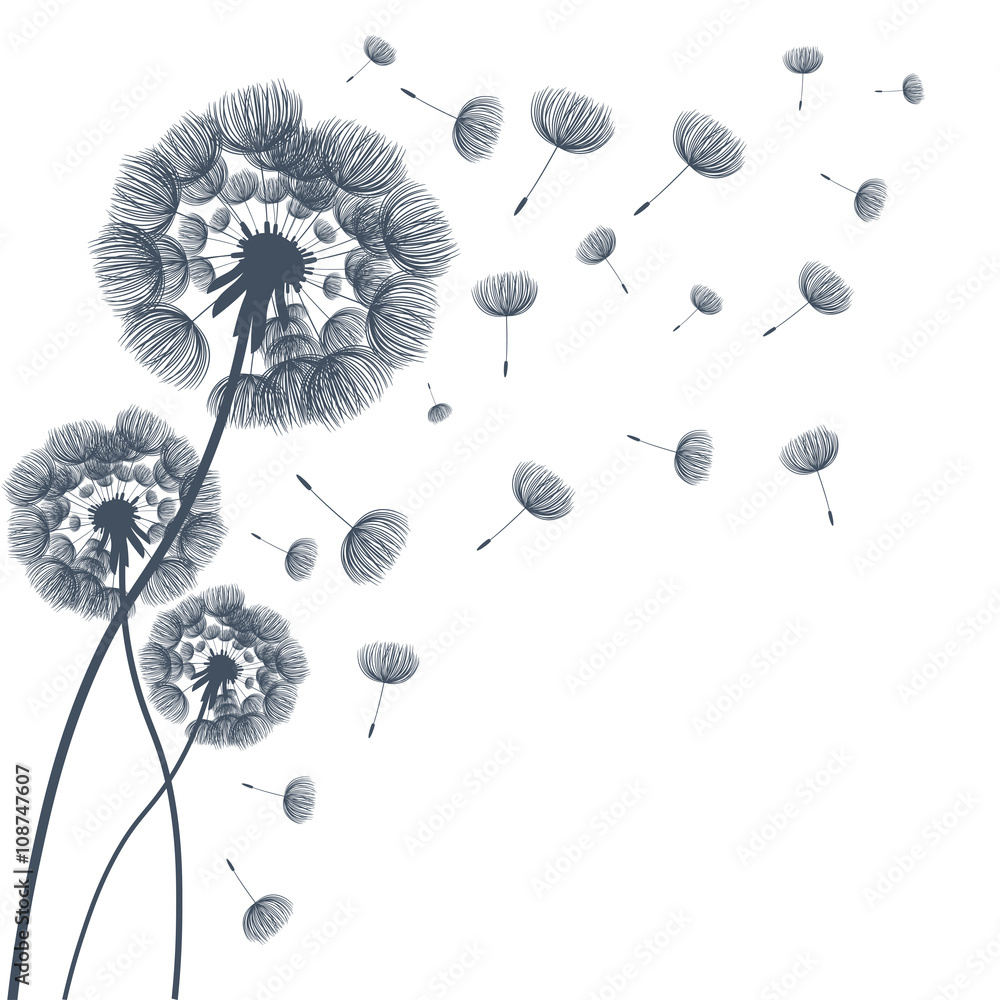Obraz premium Abstract fluffy dandelion flower. Vector illustration