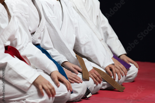 Young, beautiful, successful multi ethical karate kids in karate position.