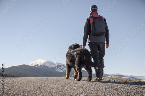 Trekking with your pet by the mountain road