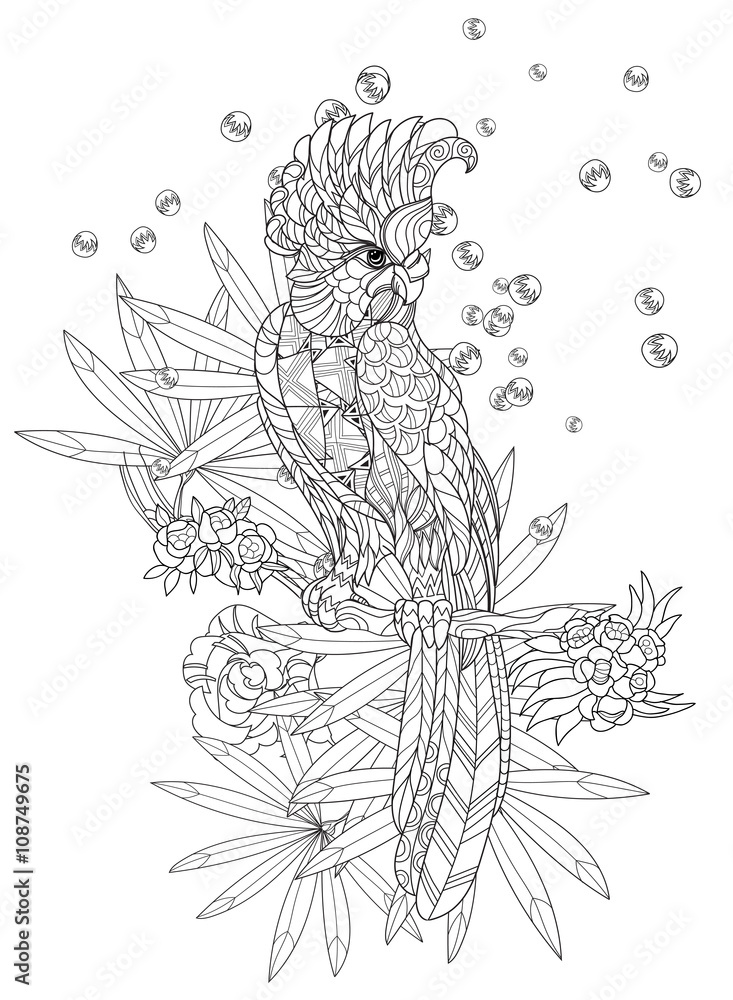 Zentangle stylized  drawn vector illustration. Sketch for tattoo  or makhenda or adult coloring book. Bird collection boho style. Stock  Vector | Adobe Stock