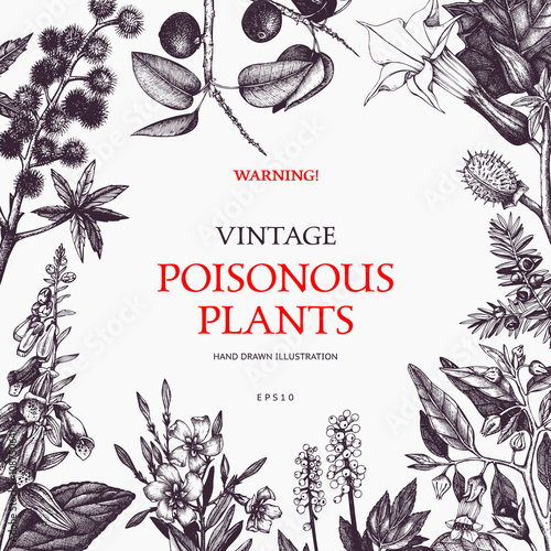 Vector frame design with hand drawn poisonous plants. Vintage noxious plants sketch background. Botanical template with poisonous flowers in retro colors. photo