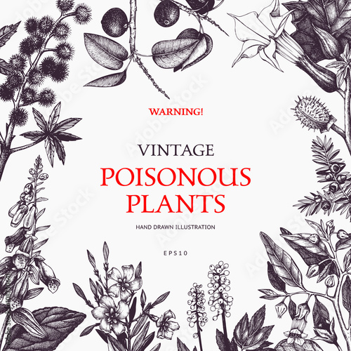 Vector frame design with hand drawn poisonous plants. Vintage noxious plants sketch background. Botanical template with poisonous flowers in retro colors.