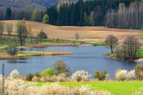 Fototapeta Naklejka Na Ścianę i Meble -  Colorful spring landscape with small lake