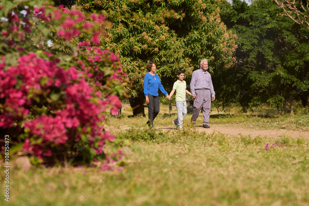 Grandpa And Grandma Walking In Park With Boy