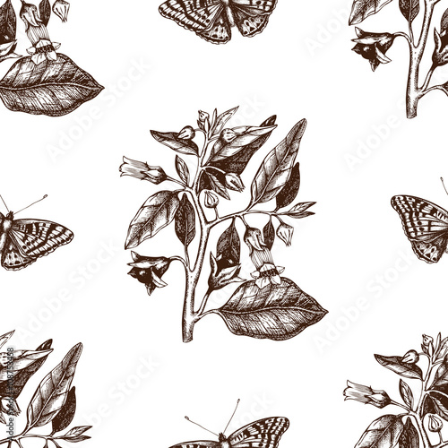 Vintage seamless pattern with Ink hand drawn Poligonia butterflies illustration and Belladonna flower sketch. Vector background with highly detailed moth and poisonous plant sketch photo