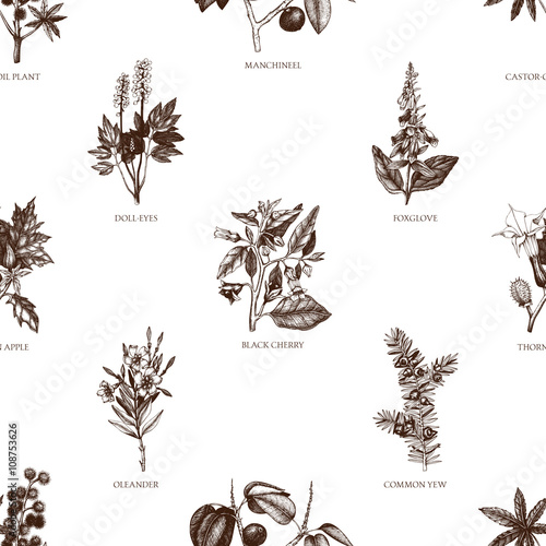Vector seamless pattern with colorful hand drawn poisonous plants. Vintage noxious plants sketch background. Botanical pattern with poisonous flowers.