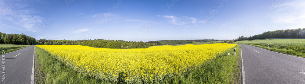 Spring countryside of yellow rapeseed fields in bloom Spring countryside of yellow rapeseed fields in bloom