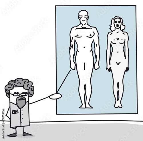 Professeur qui présente l'anatomie du corps humain : homme et femme