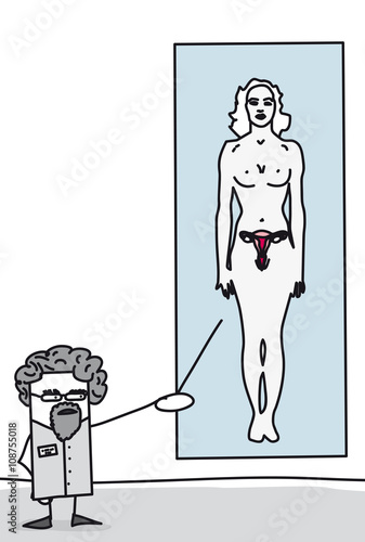Médecine - présentation du corps de la femme