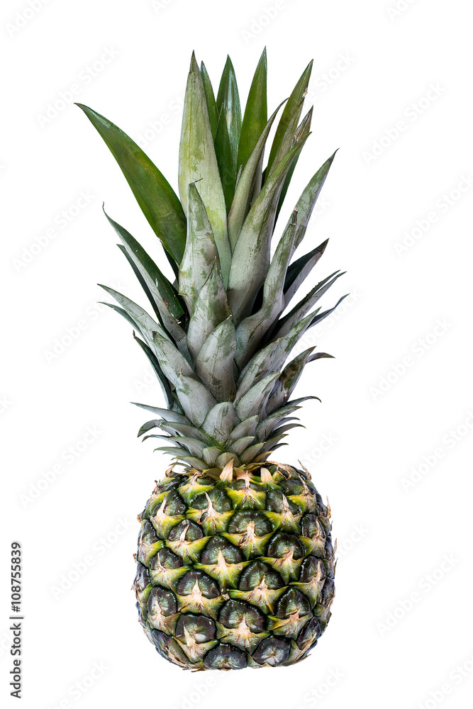 Big fresh pineapple Big fresh pineapple