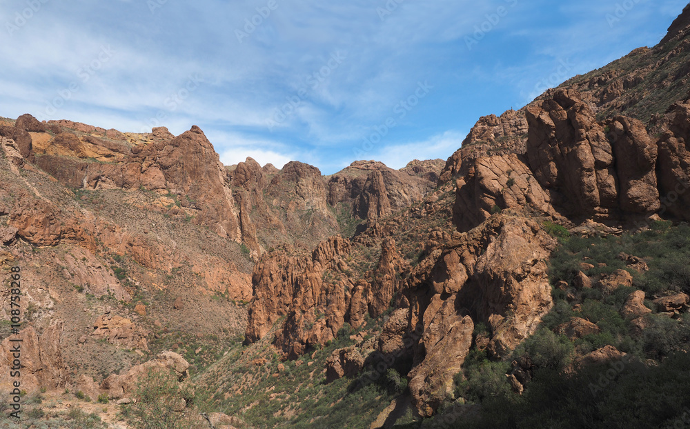 Fototapeta premium Highly Eroded Volcanic Mountains in Organ Pipe Cactus National P