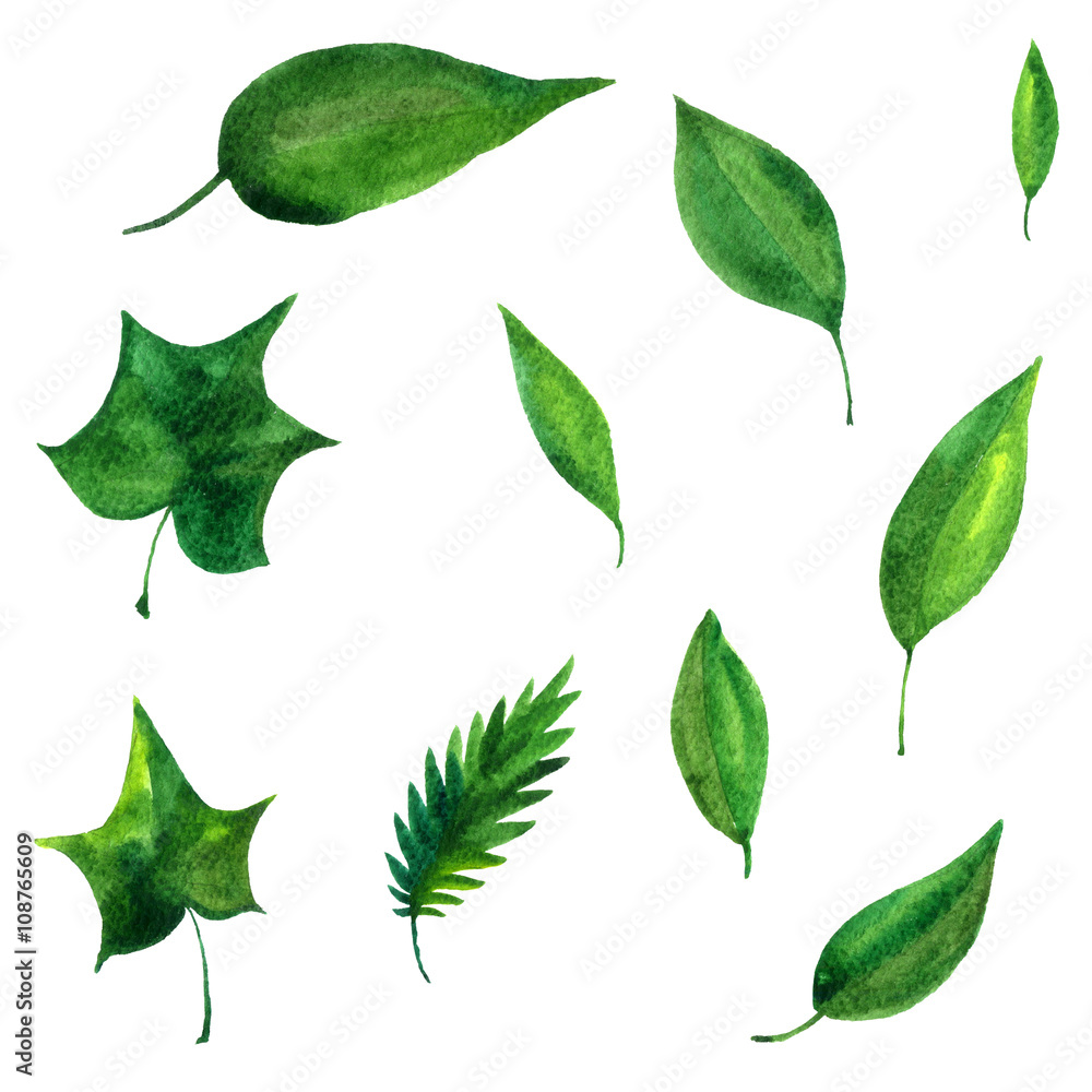 watercolor green leaves watercolor green leaves