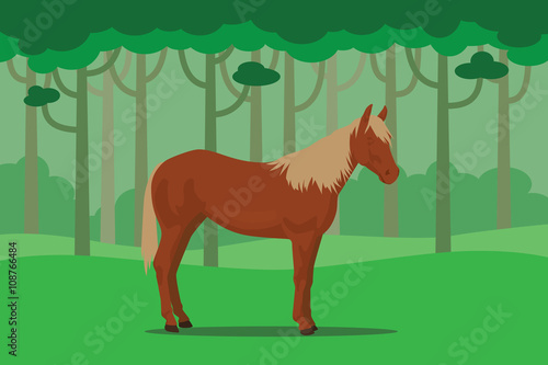 wild horse in jungle alone with tree forest as background