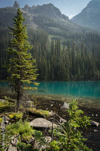 Φωτογραφία Lake O'Hara, Yoho National Park, British Columbia
