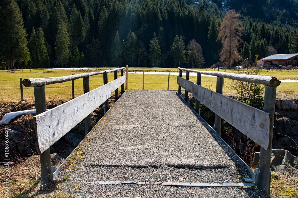 Obraz premium Small wooden bridge