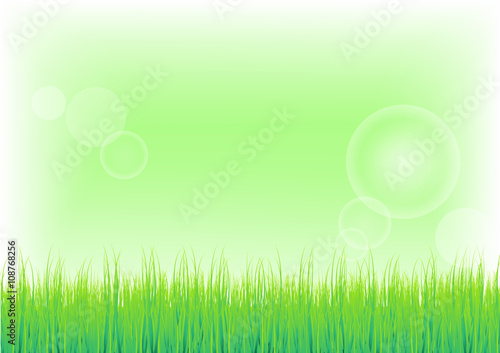 Green Grass and blue sky background