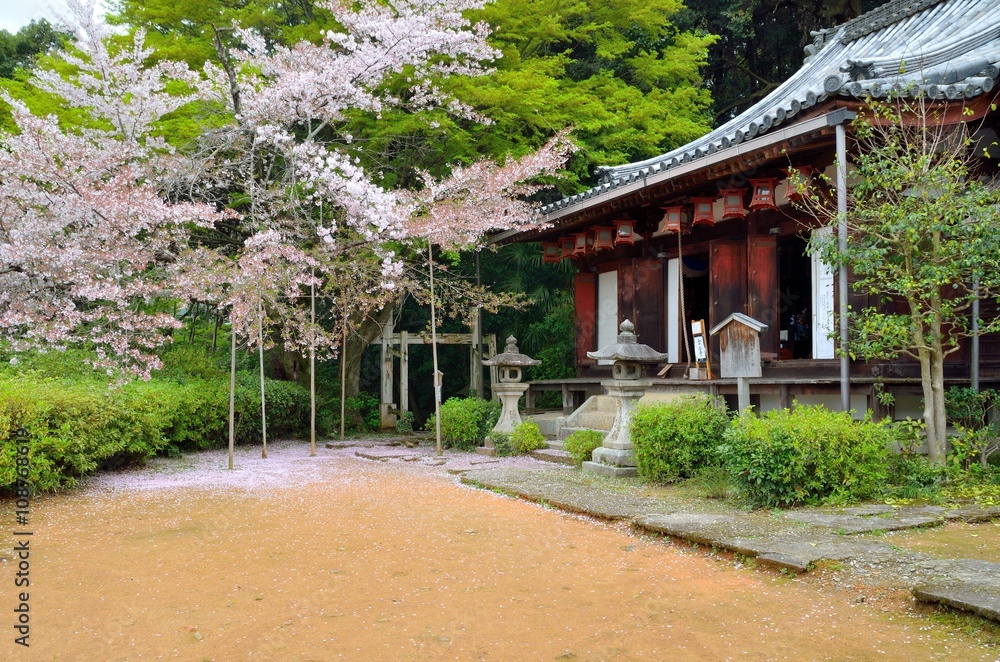 京都 尊勝院 京都 尊勝院