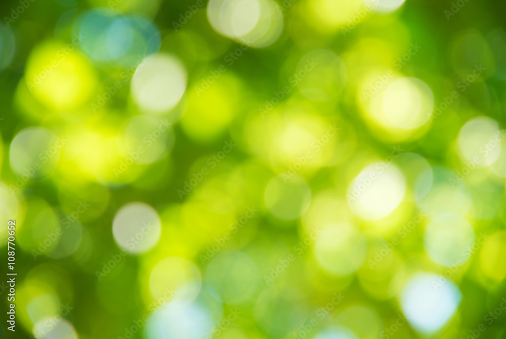 Natural blurred background. Natural blurred background.