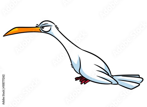 Bird seagull cartoon illustration isolated image animal character 
