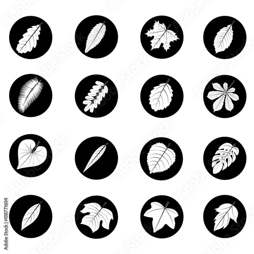 A diverse collection of  leaves in the form of icons