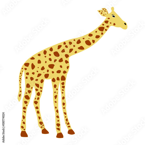 of a cute giraffe