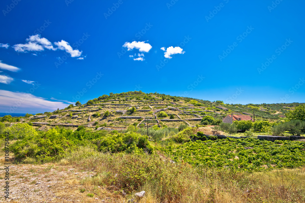 Old stone walls and village on Vis Old stone walls and village on Vis