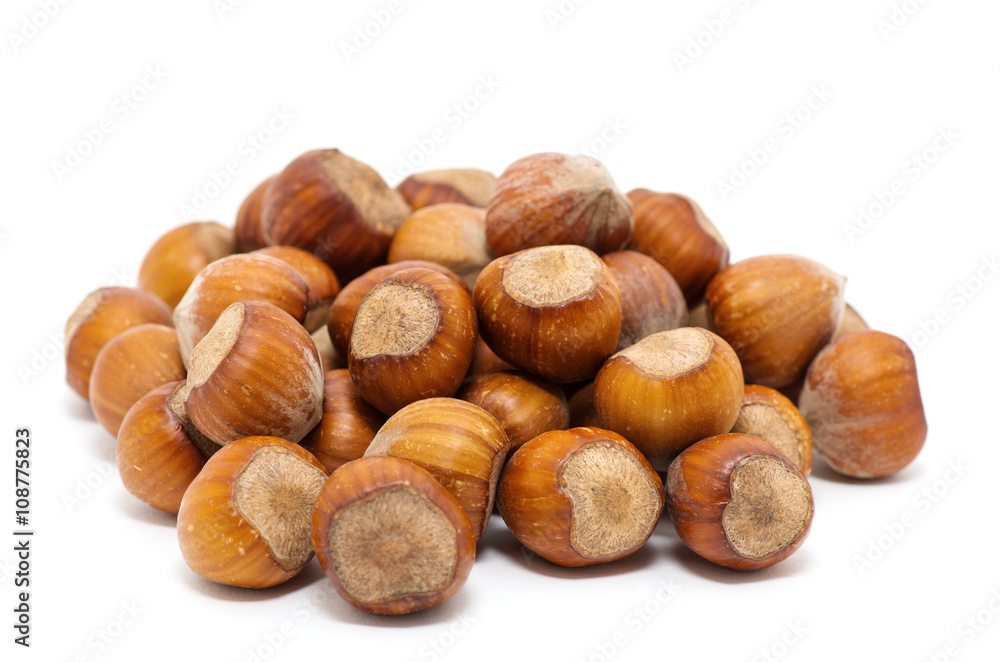 Hazelnuts on white background Hazelnuts on white background