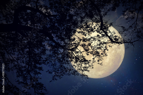 Milky Way star in night skies, full moon and old tree - Retro style artwork with vintage color tone (Elements of this moon image furnished by NASA)