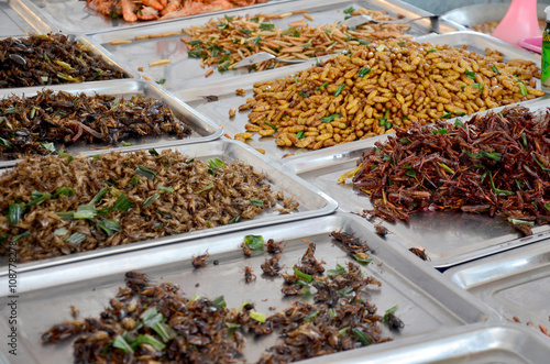 Exotic food fried Insect © tuayai