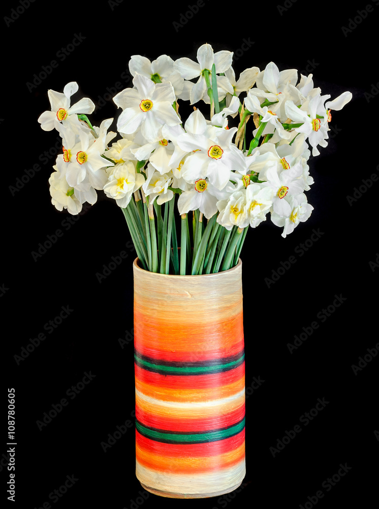 White daffodils flowers, narcissus, multi colored vase, flowerpot