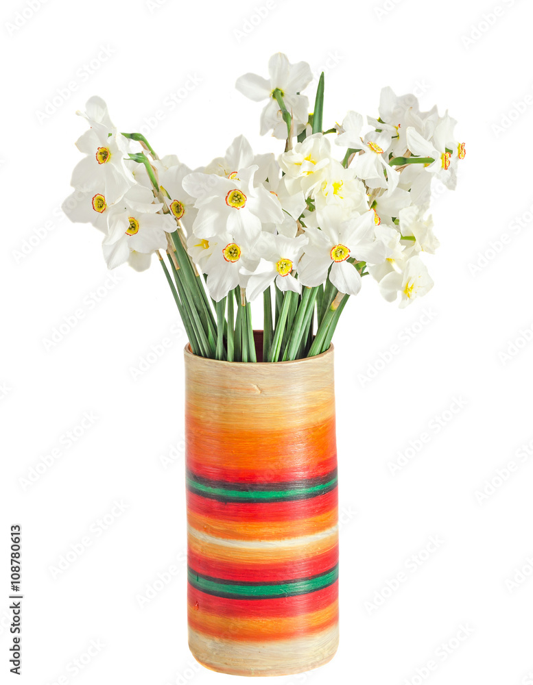 White daffodils flowers, narcissus, multi colored vase, flowerpot
