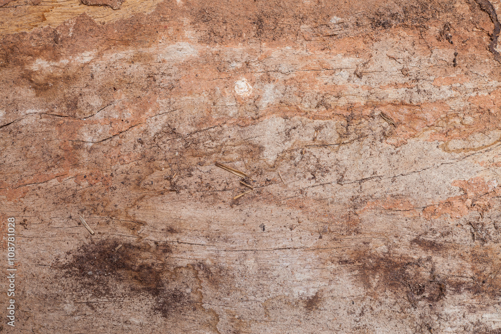 Old wood cracked and dust background texture. Old wood cracked and dust background texture.