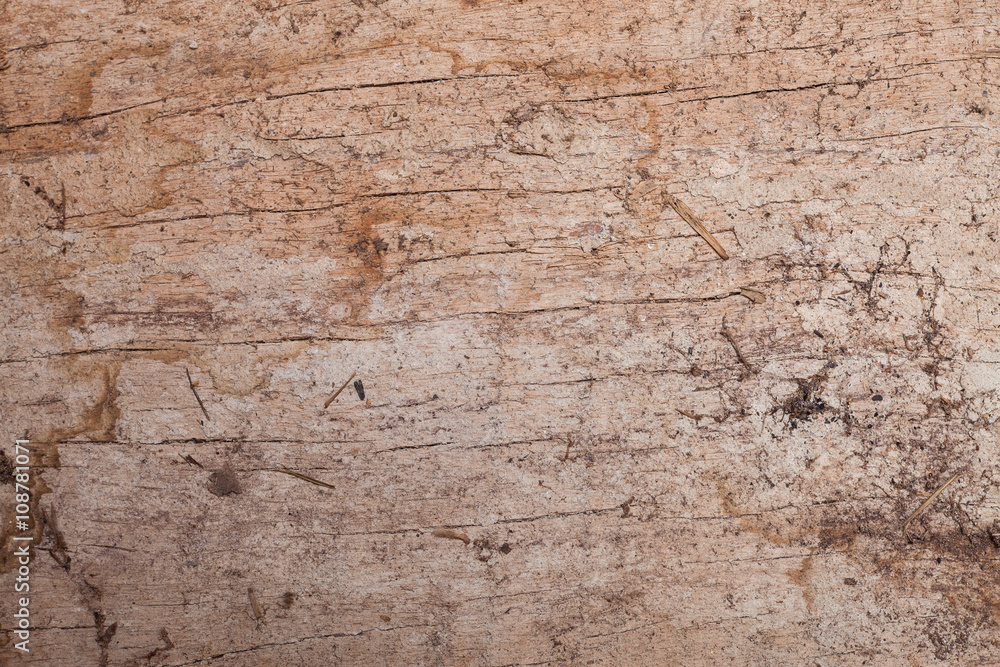 Wooden cracked and dust background texture.